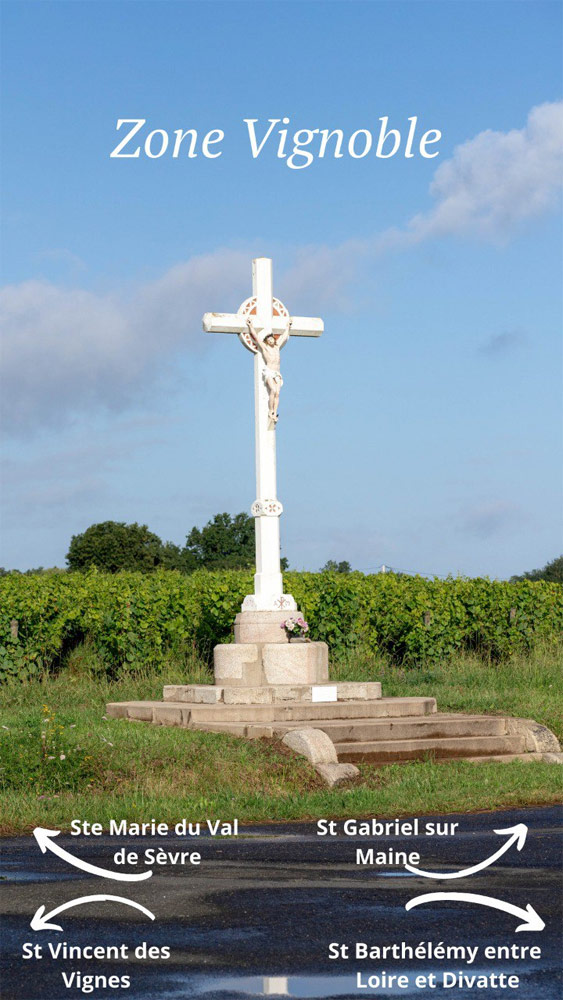 Calvaire dans le vignoble
