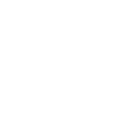 Icône