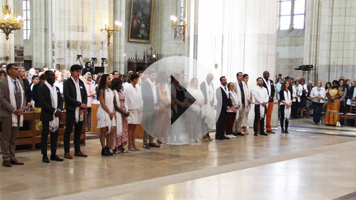 Voir les photos 