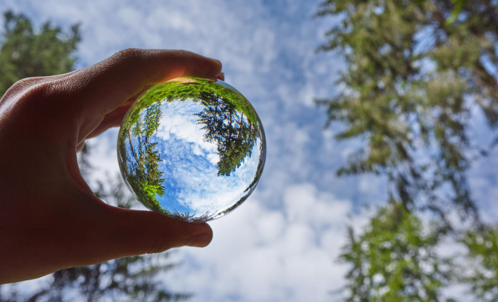 nature and the beauty inside it